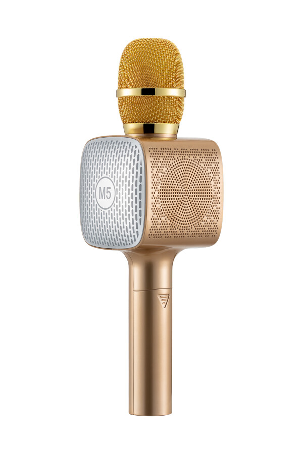 MF Product Acoustic 0254 Karaoke Mikrofon Gold	 - 1